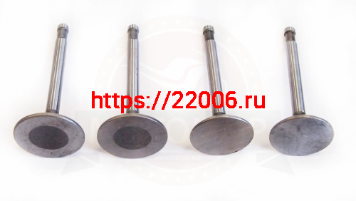 Клапана Днепр (комплект) (кол-во в упак. 100 компл.) Клапана Днепр (комплект) (кол-во в упак. 100 компл.)