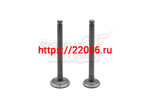 Клапаны (впуск/выпуск) 1Р39 Alpha 50см3 (d=18,3/16 мl=64,1/64,2) Клапаны (впуск/выпуск) 1Р39 Alpha 50см3 (d=18,3/16 мl=64,1/64,2)