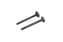 Клапаны (впуск/выпуск) 139QMB 50 - 80см3 (d18,5/16, l-69)