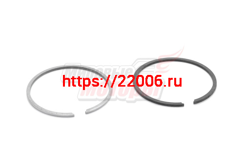 Кольца Муравей (Россия) уз.нормальные (62,00) ПАРА. (ФИРМ.)