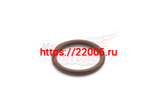 Кольцо уплотнительное распредвала 20х2,5 163FML-2 Кольцо уплотнительное распредвала 20х2,5 163FML-2