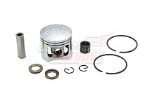 Поршень CHAMPION 245 комплект (43мм) (3002100101)