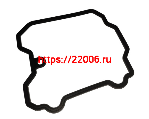 Прокладка крышки головки NB300  ZS (174MN-5) (100130254)