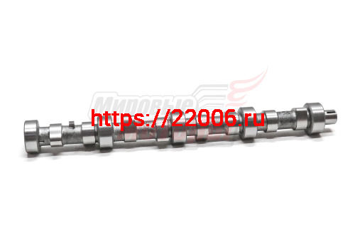 Распредвал BAW 1044,1065, Deutz, Евро-3 (100601655D) Распредвал BAW 1044,1065, Deutz, Евро-3 (100601655D)
